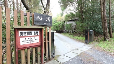 滋賀ペット葬儀社 日本ペットランド 琵琶湖動物霊園 心塔 滋賀県湖南市針 ペット葬儀 ペット霊園 Yahoo ロコ