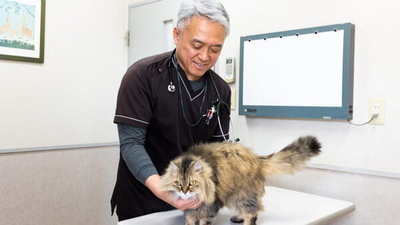 チボリ動物医療センター 岡山県倉敷市寿町 動物病院 獣医師 Yahoo ロコ