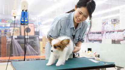 ペットアミ河渡店 ホテル 新潟県新潟市東区河渡 ペットホテル Yahoo ロコ