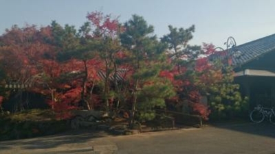 松山 庭園 美術館