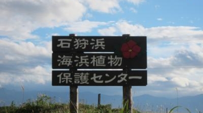 石狩市役所 石狩浜海浜植物保護センター 北海道石狩市弁天町 Yahoo ロコ