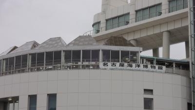 名古屋海洋博物館 愛知県名古屋市港区港町 博物館 Yahoo ロコ