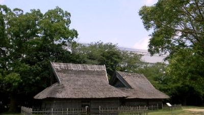 伊場遺跡公園 静岡県浜松市中区東伊場 観光公園 Yahoo ロコ