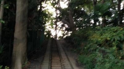 白幡公園 神奈川県横浜市鶴見区東寺尾 近隣公園 Yahoo ロコ