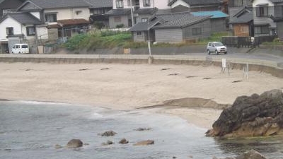 切浜海水浴場 兵庫県豊岡市竹野町切濱 海水浴場 Yahoo ロコ