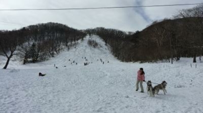 赤城ビジターセンター 群馬県前橋市富士見町赤城山 うどん店 Yahoo ロコ