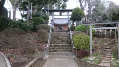 大松氷川神社 東京都練馬区北町 Yahoo ロコ