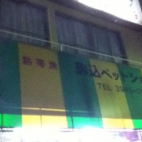 池袋 目白 高田馬場のペットショップ ペット用品のお店 施設一覧 50件 Yahoo ロコ