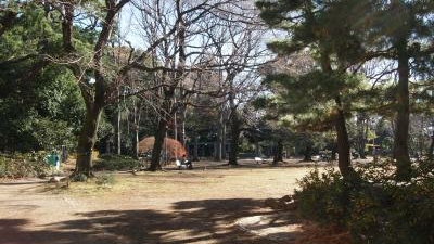 駒場公園 和館 東京都目黒区駒場 公園 Yahoo ロコ