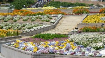 和歌山県植物公園緑花センター 和歌山県岩出市今畑 植物園 Yahoo ロコ