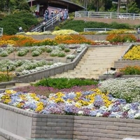 和歌山県の植物園のお店 施設一覧 7件 Yahoo ロコ