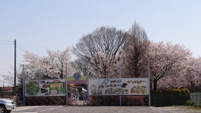 真岡観光リス村 栃木県真岡市東郷 Yahoo ロコ