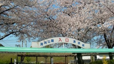 清洲公園 愛知県清須市清洲 近隣公園 Yahoo ロコ