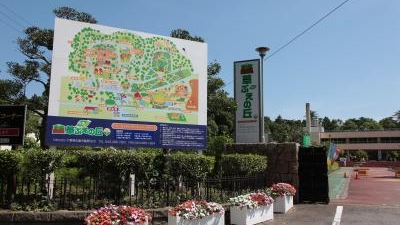 佐倉草ぶえの丘 千葉県佐倉市飯野 自然休養村 Yahoo ロコ