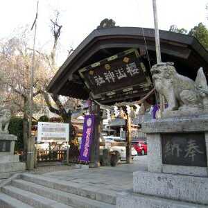 桜山神社 岩手県盛岡市内丸 神社 増強用 Yahoo ロコ