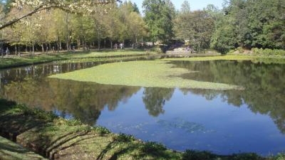 水戸市植物公園 茨城県水戸市小吹町 植物園 Yahoo ロコ