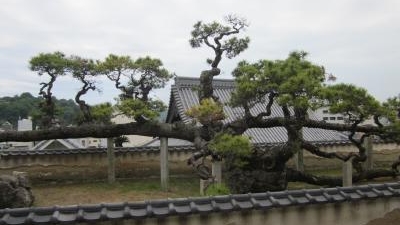 光明寺 広島県尾道市東土堂町 仏閣 寺 観音 不動 薬師 増強用 Yahoo ロコ