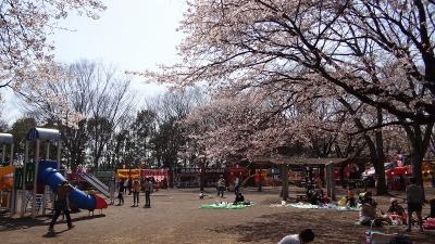 かしの森公園 栃木県芳賀郡芳賀町大字下高根沢 近隣公園 Yahoo ロコ