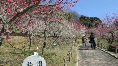 豊川市 赤塚山公園 愛知県豊川市市田町 公園 Yahoo ロコ