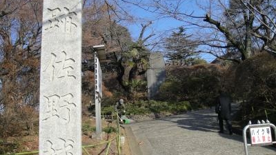 城山公園 栃木県佐野市若松町 花の名所 Yahoo ロコ