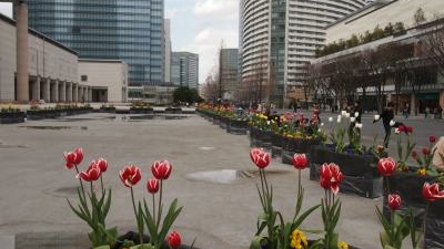 グランモール公園 美術の広場 神奈川県横浜市西区みなとみらい Yahoo ロコ