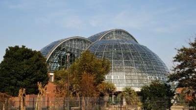 東京都夢の島熱帯植物館 東京都江東区夢の島 植物園 Yahoo ロコ