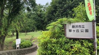 翠ケ丘公園 神奈川県藤沢市西富 近隣公園 Yahoo ロコ