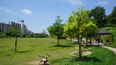 峰塚公園 大阪府羽曳野市軽里 近隣公園 Yahoo ロコ