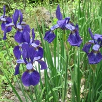 長野県の植物園のお店 施設一覧 29件 Yahoo ロコ