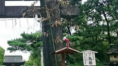 筥崎宮 一之鳥居 福岡県福岡市東区箱崎 Yahoo ロコ