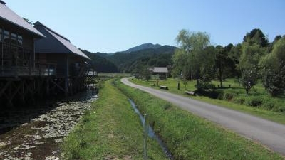 トンボ自然公園 高知県四万十市具同 花の名所 Yahoo ロコ