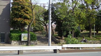 川崎市中原平和公園 神奈川県川崎市中原区木月住吉町 近隣公園 Yahoo ロコ