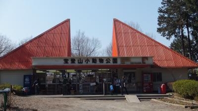 宝登山小動物公園 埼玉県秩父郡長瀞町大字長瀞 動物園 Yahoo ロコ