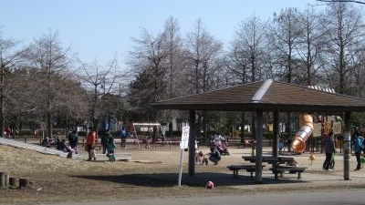 みさと公園 埼玉県三郷市高州 公園 Yahoo ロコ