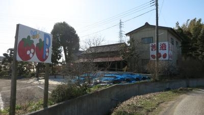 渡邉いちご園 千葉県君津市大井 牧場 農場 農園 Yahoo ロコ