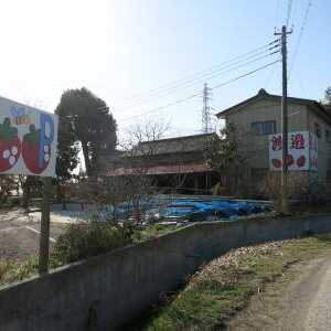 渡邉いちご園 千葉県君津市大井 牧場 農場 農園 Yahoo ロコ