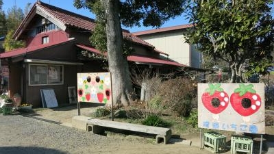 渡邉いちご園 千葉県君津市大井 牧場 農場 農園 Yahoo ロコ