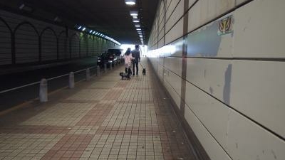 六本木トンネル 東京都港区六本木 Yahoo ロコ