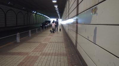 六本木トンネル 東京都港区六本木 Yahoo ロコ