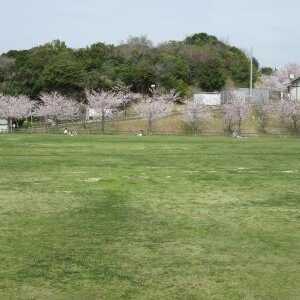 小脇公園 愛知県常滑市坂井 Yahoo ロコ