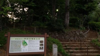 世田谷城阯公園 東京都世田谷区豪徳寺 Yahoo ロコ