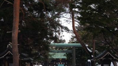 琴似神社 北海道札幌市西区琴似一条 神社 Yahoo ロコ