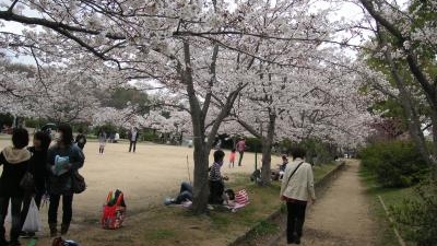 日岡山公園 兵庫県加古川市加古川町大野 レジャー公園 Yahoo ロコ