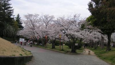 日岡山公園 兵庫県加古川市加古川町大野 レジャー公園 Yahoo ロコ