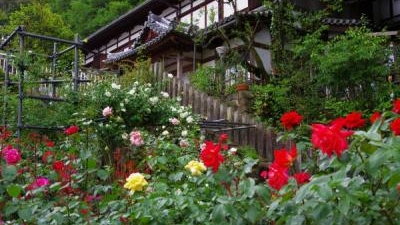 松尾寺 奈良県大和郡山市山田町 仏閣 寺 観音 不動 薬師 増強用 Yahoo ロコ