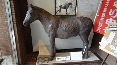 種子島開発総合センター 鉄砲館 鹿児島県西之表市西之表 博物館 Yahoo ロコ