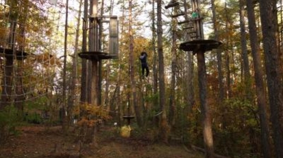 フォレストアドベンチャー フジ 山梨県南都留郡鳴沢村鳴沢 公園 Yahoo ロコ