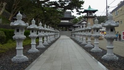 誕生寺 千葉県鴨川市小湊 花の名所 Yahoo ロコ