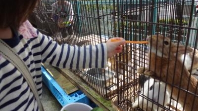 八木山動物公園 フジサキの杜 宮城県仙台市太白区八木山本町 動物園 Yahoo ロコ