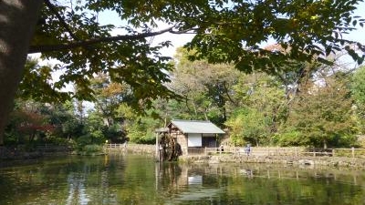 鍋島松濤公園 東京都渋谷区松濤 Yahoo ロコ